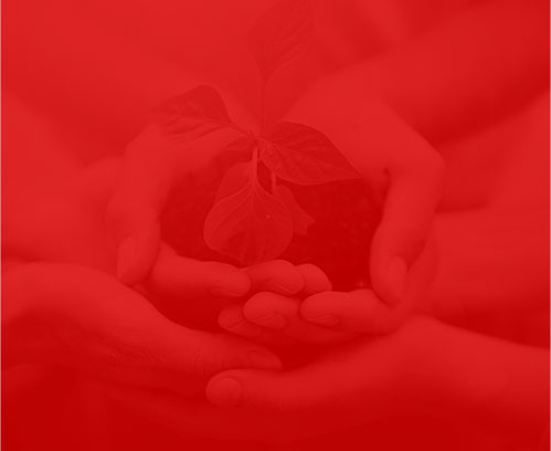 泰安网络公司祥晖网络